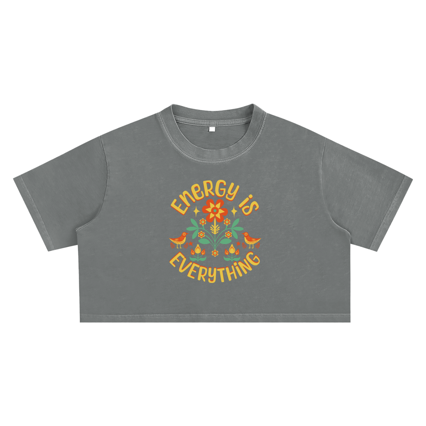 Energy Mantra Snow Washed Crop Top