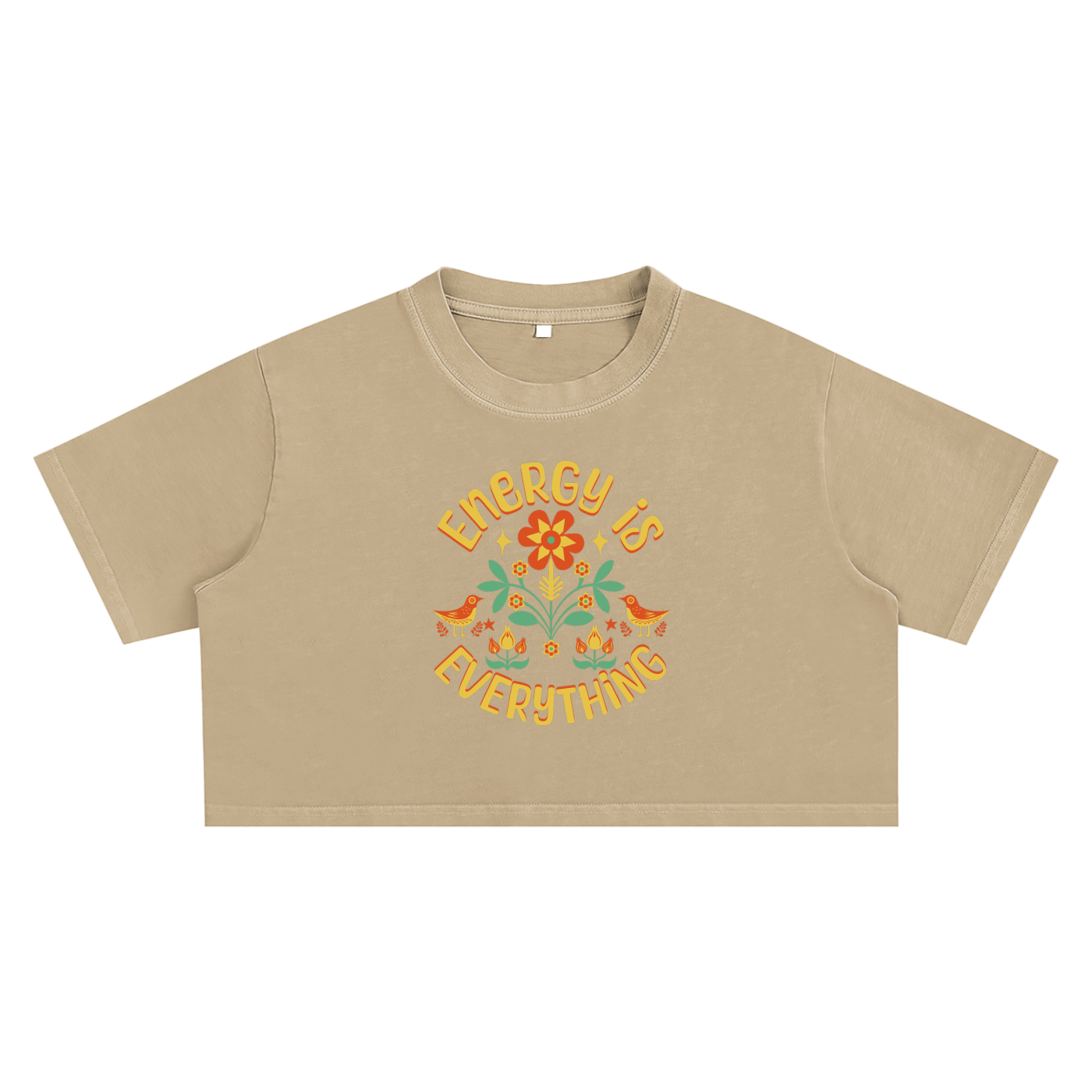 Energy Mantra Snow Washed Crop Top